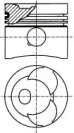 WILMINK GROUP wg1094101 -